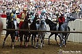 VBS_1126 - Palio di Asti 2024_1